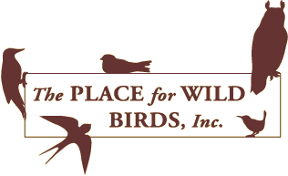 The place for wild birds.